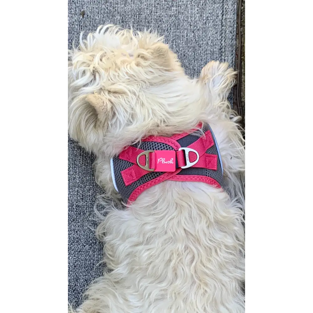 Plush Step In Air Mesh Harness - Shark Grey/Pink