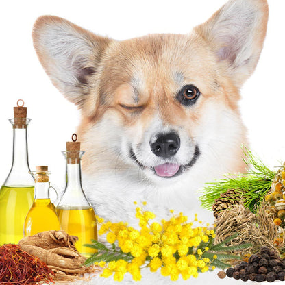 First Sniff Dog Cologne - Your First Sniff Stays on My Mind